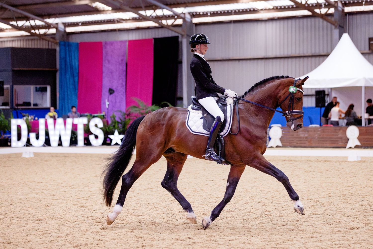 dressage with the stars werribee park