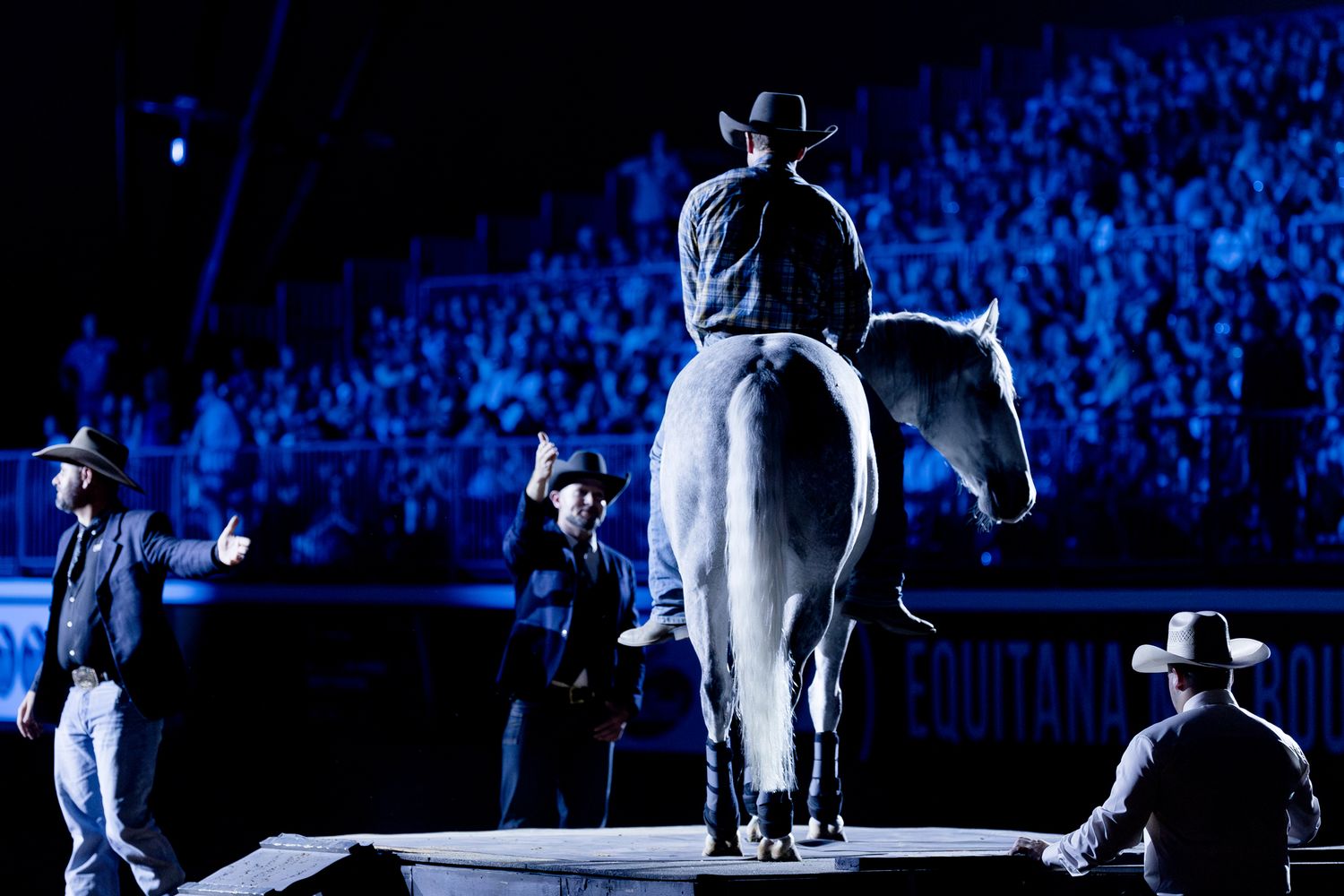 double dan equitana blue