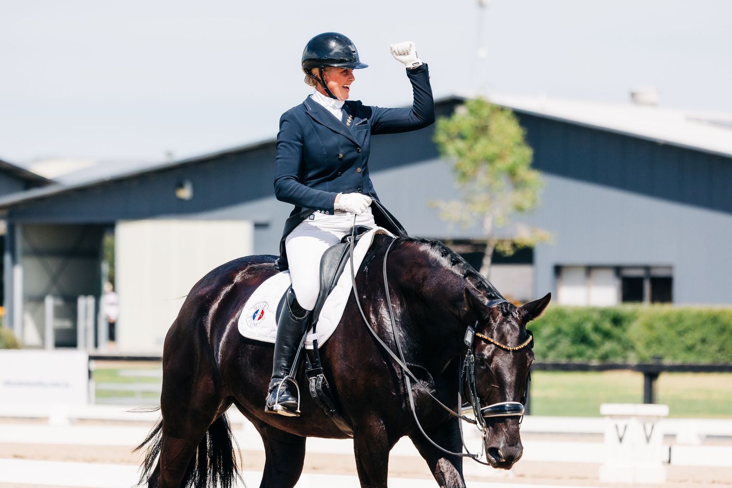 dressage celebration