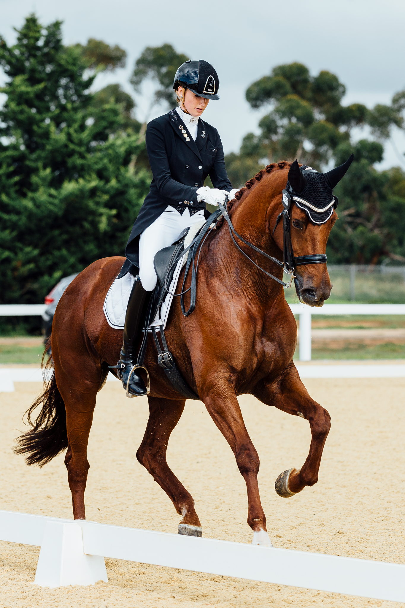jessica dertell dressage werribee park