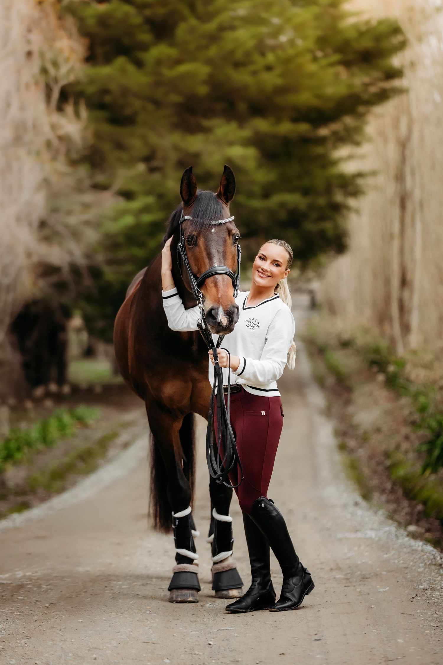 fine art equine portrait victoria australia horse and rider