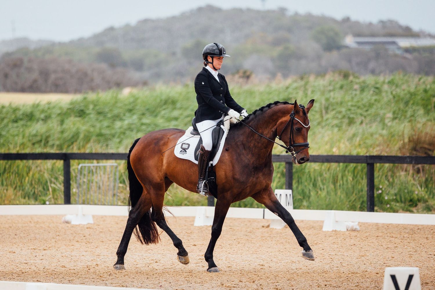 dressage boneo park trot