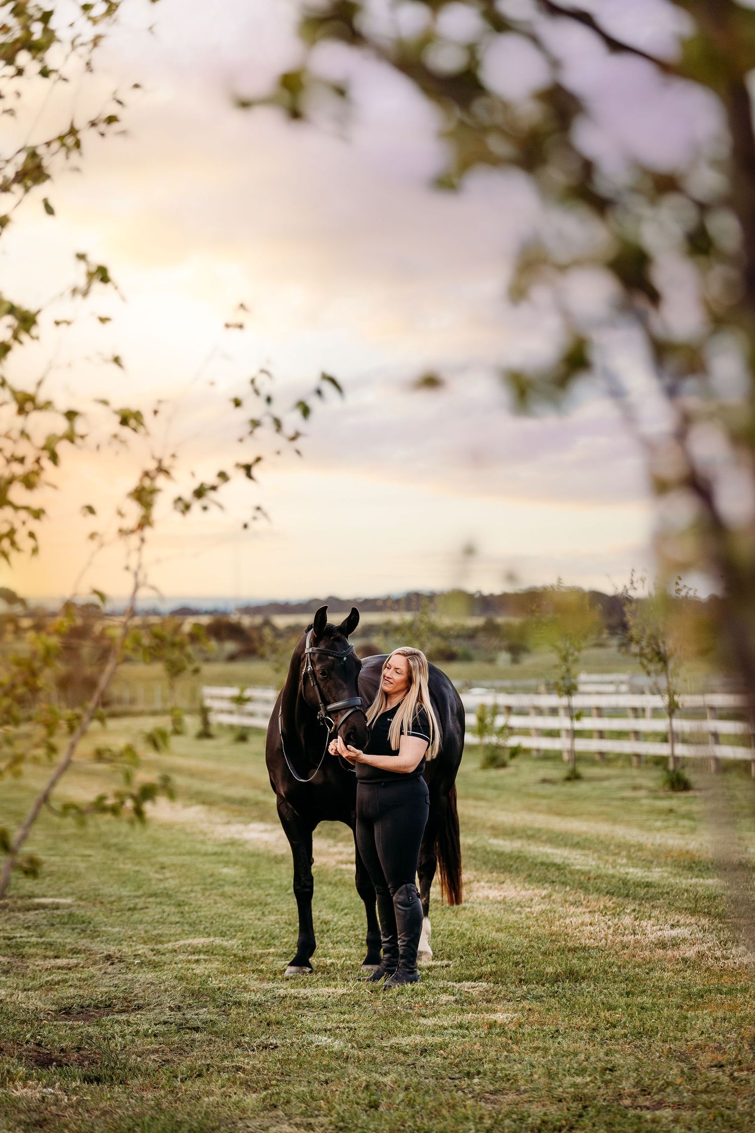 fine art equine portrait victoria australia horse and rider geelong
