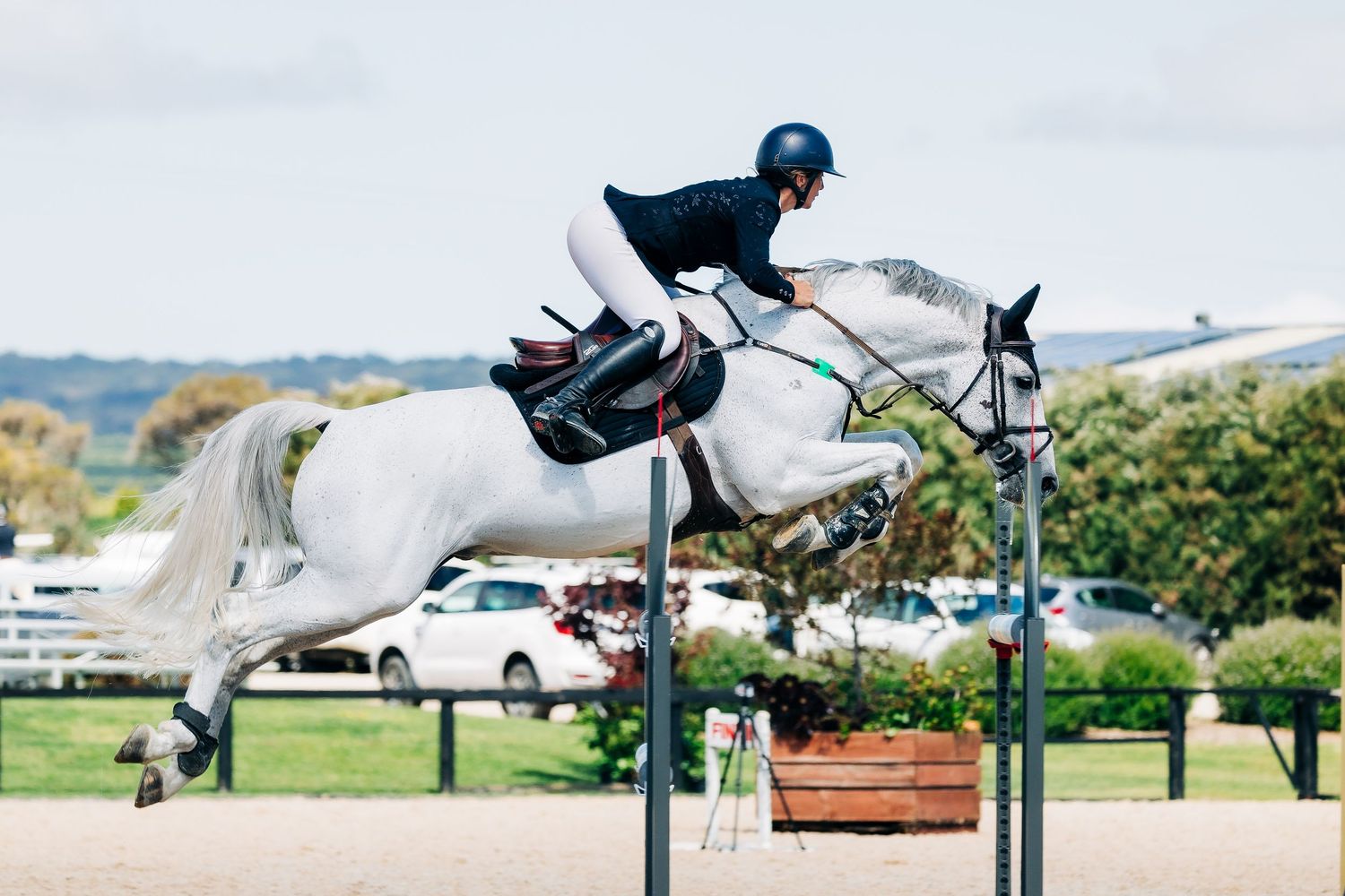 showjumping boneo park