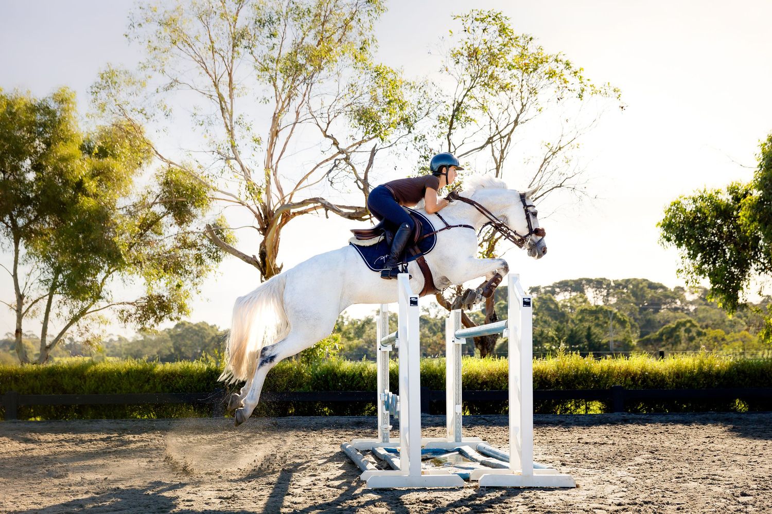 photography commercial equestrian