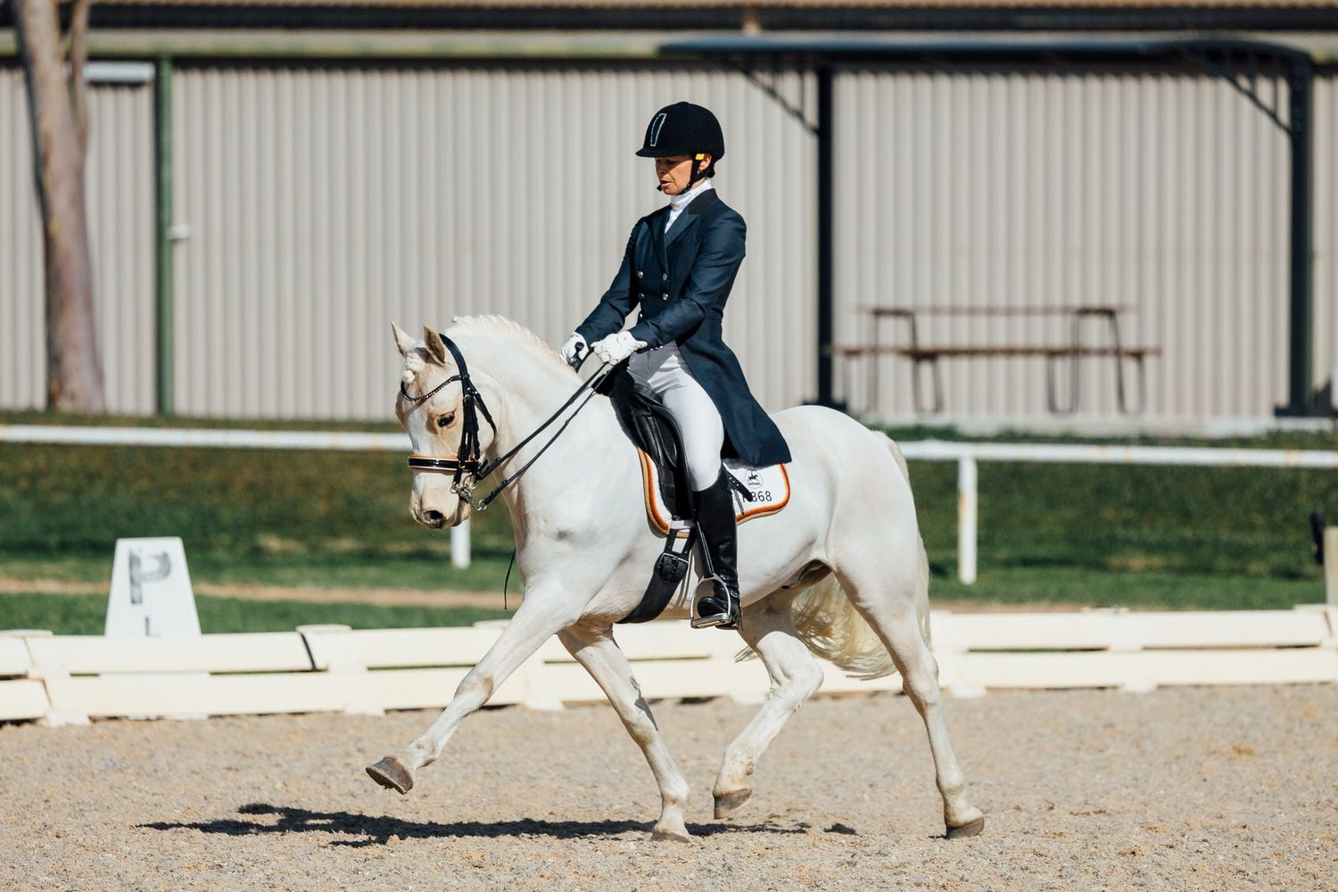 werribee park extended trot dressage