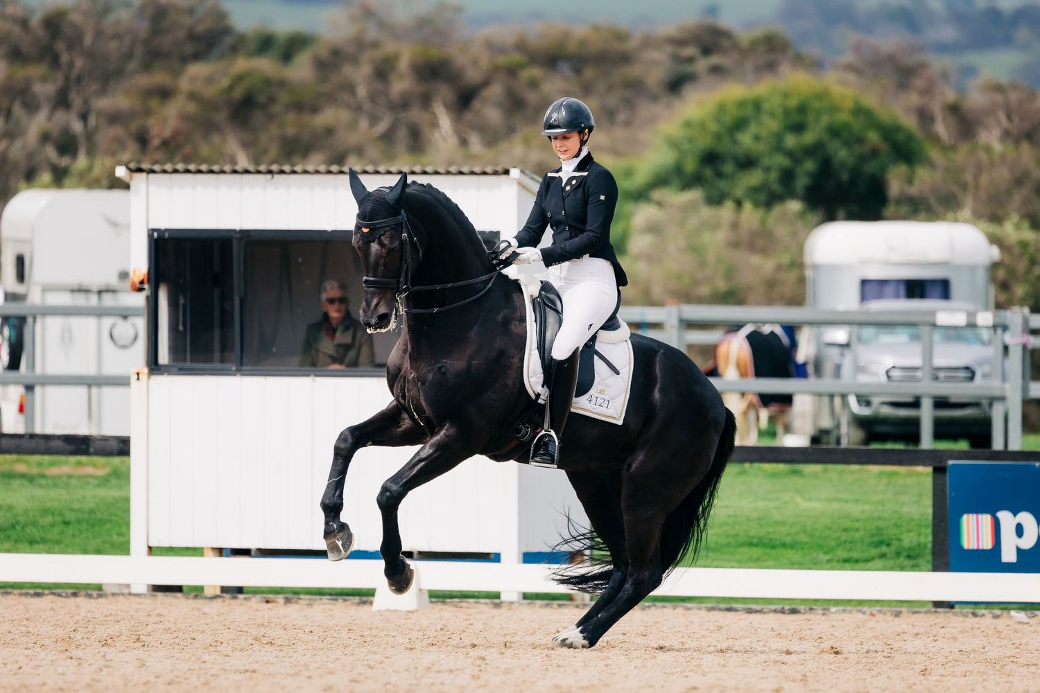 canter pirouette dressage boneo park