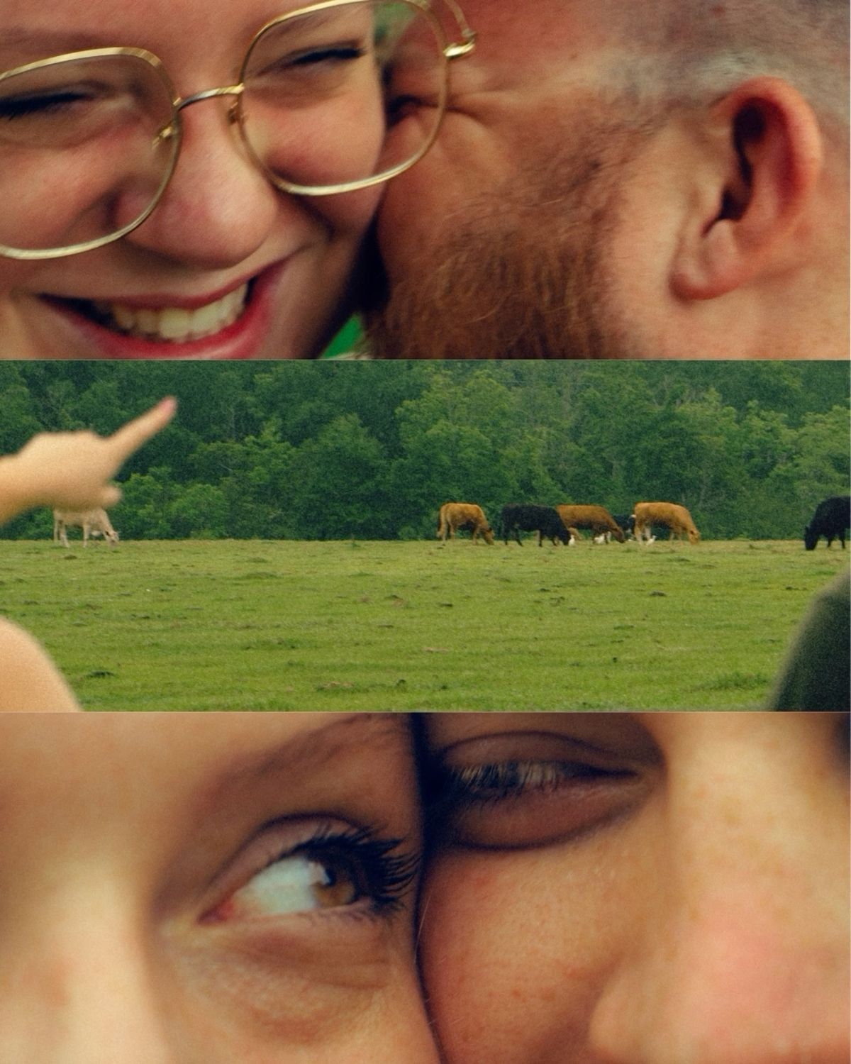 Couple smiling and nuzzling close outdoors near a green field with grazing cattle in a romantic triptych photo.