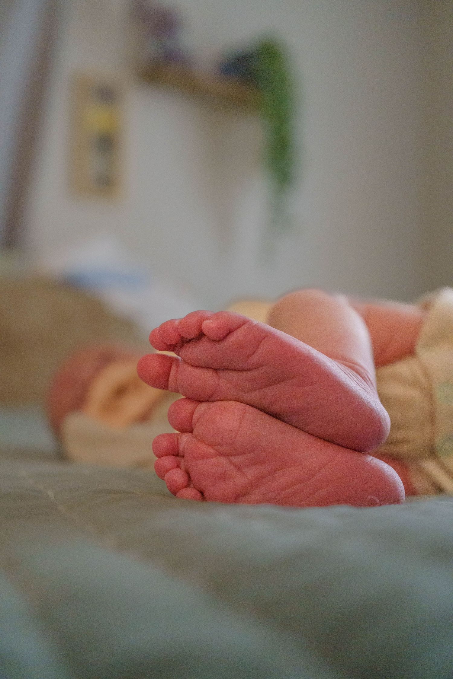 Close-up of tiny newborn baby feet crossed together on a soft surface.