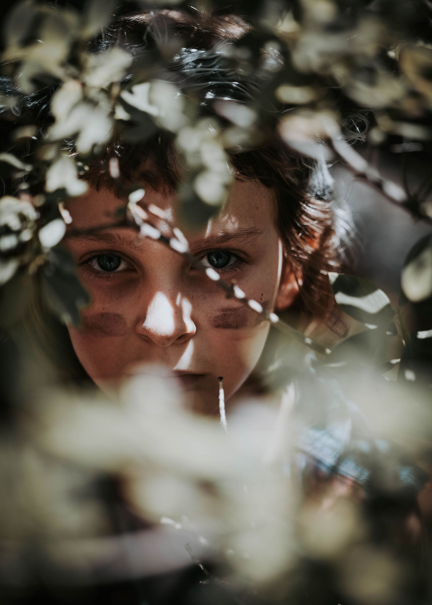 In the Forest With Reclaimed Media Co.