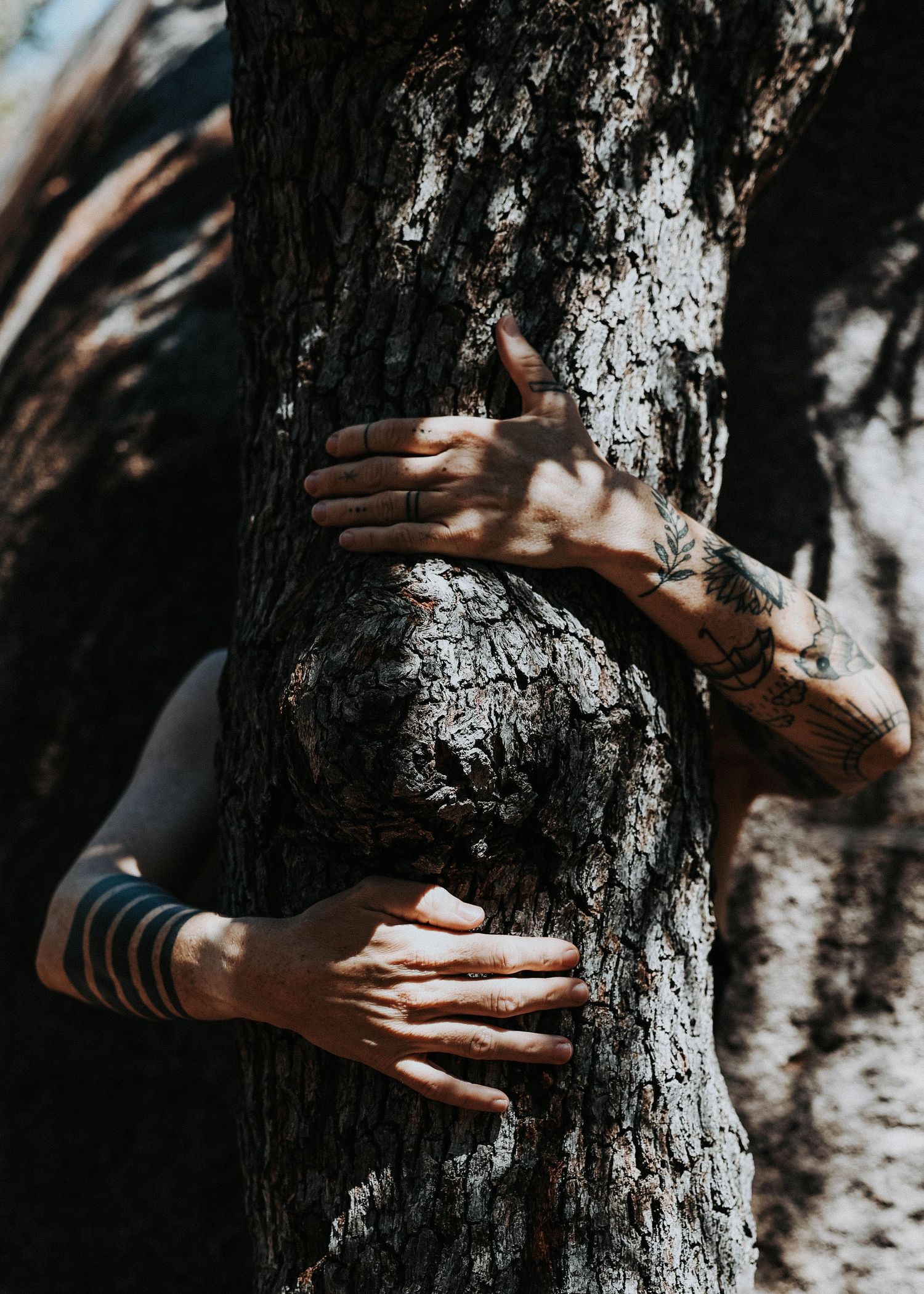 Family Forest Shoot, Reclaimed Media Co.