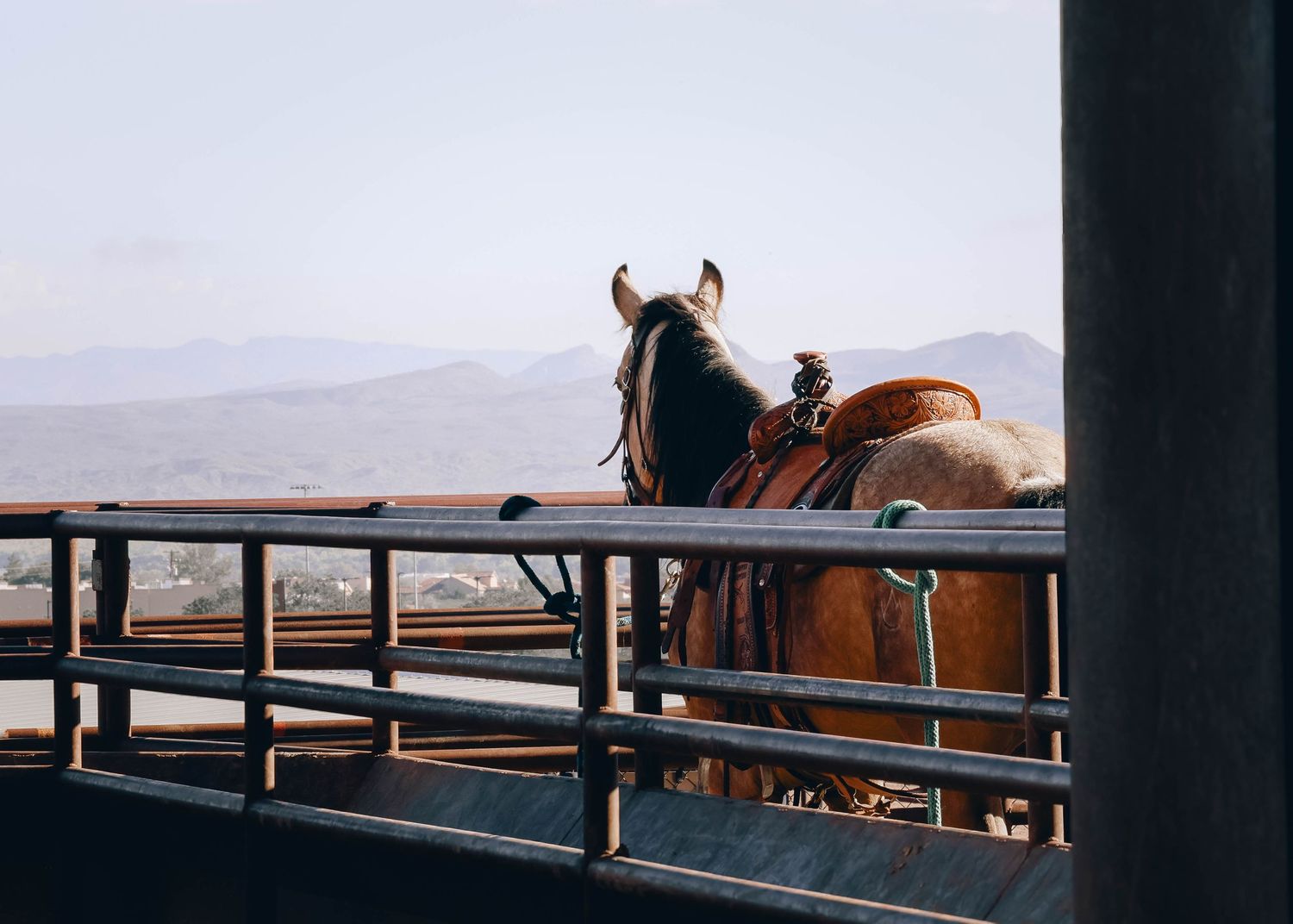 New Mexico Territory Cowboy Mounted Shooters, Reclaimed Media Co.