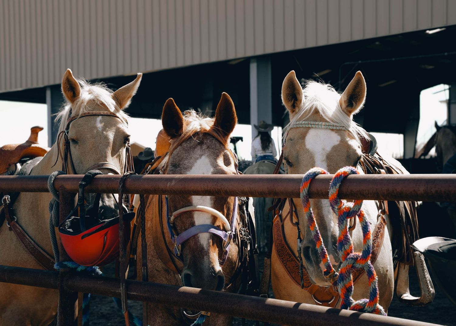 New Mexico Territory Cowboy Mounted Shooters, Reclaimed Media Co.