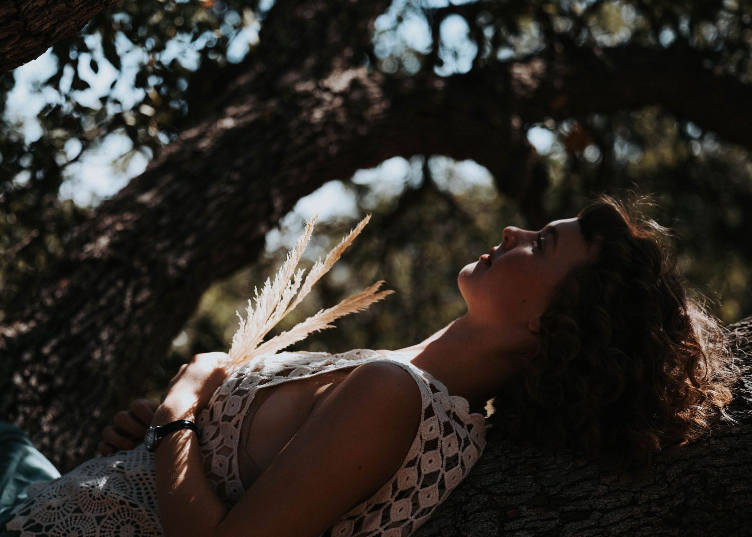 In the Forest With Reclaimed Media Co.