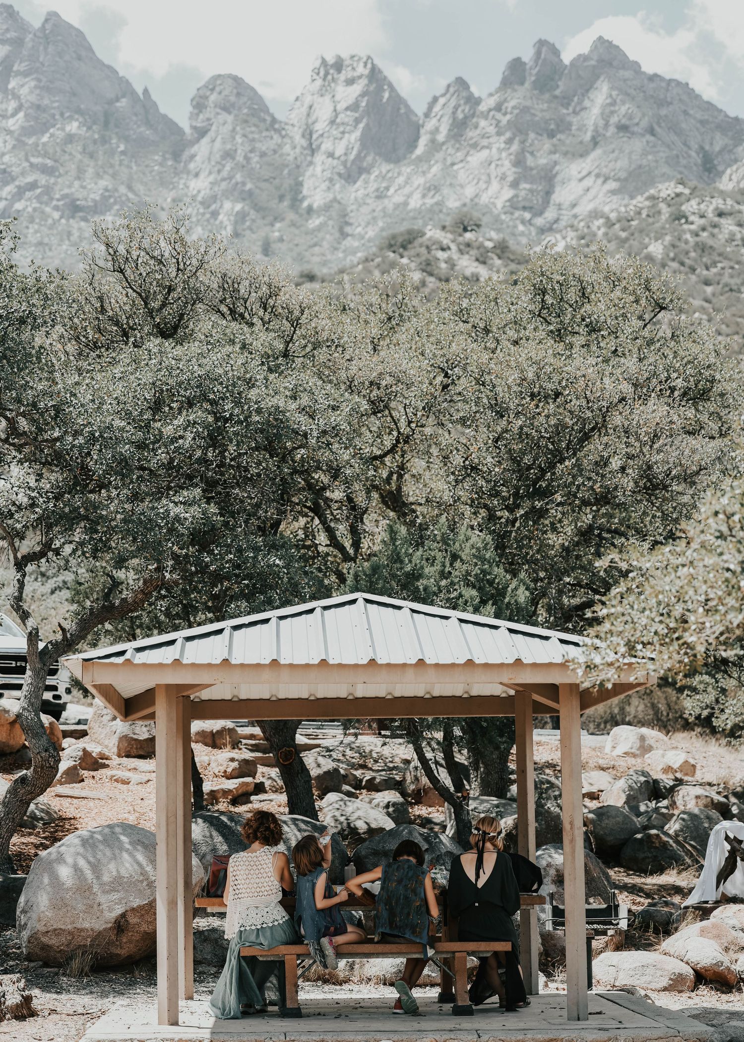 In the Forest With Reclaimed Media Co.