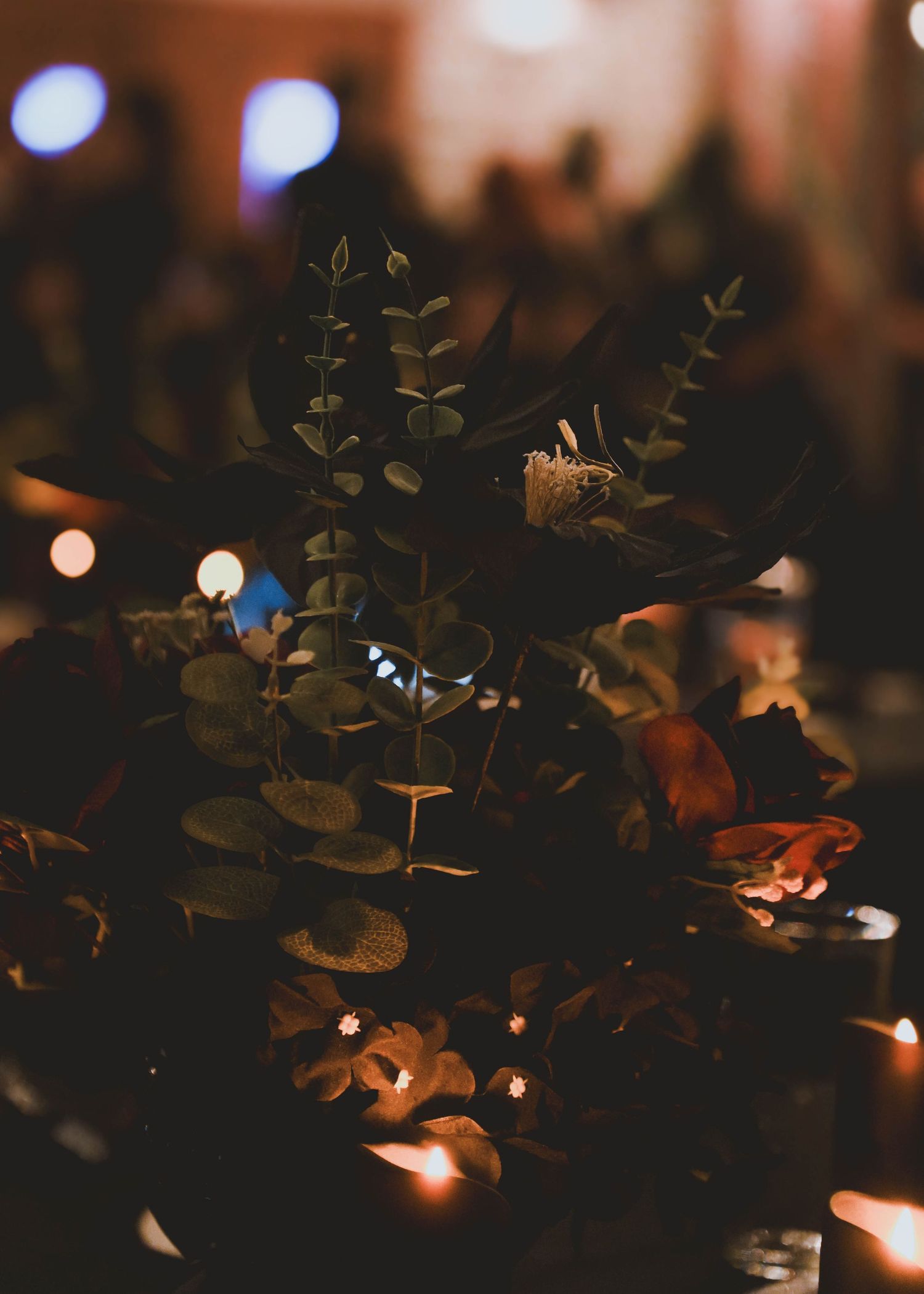Wedding, Reclaimed Media Co.