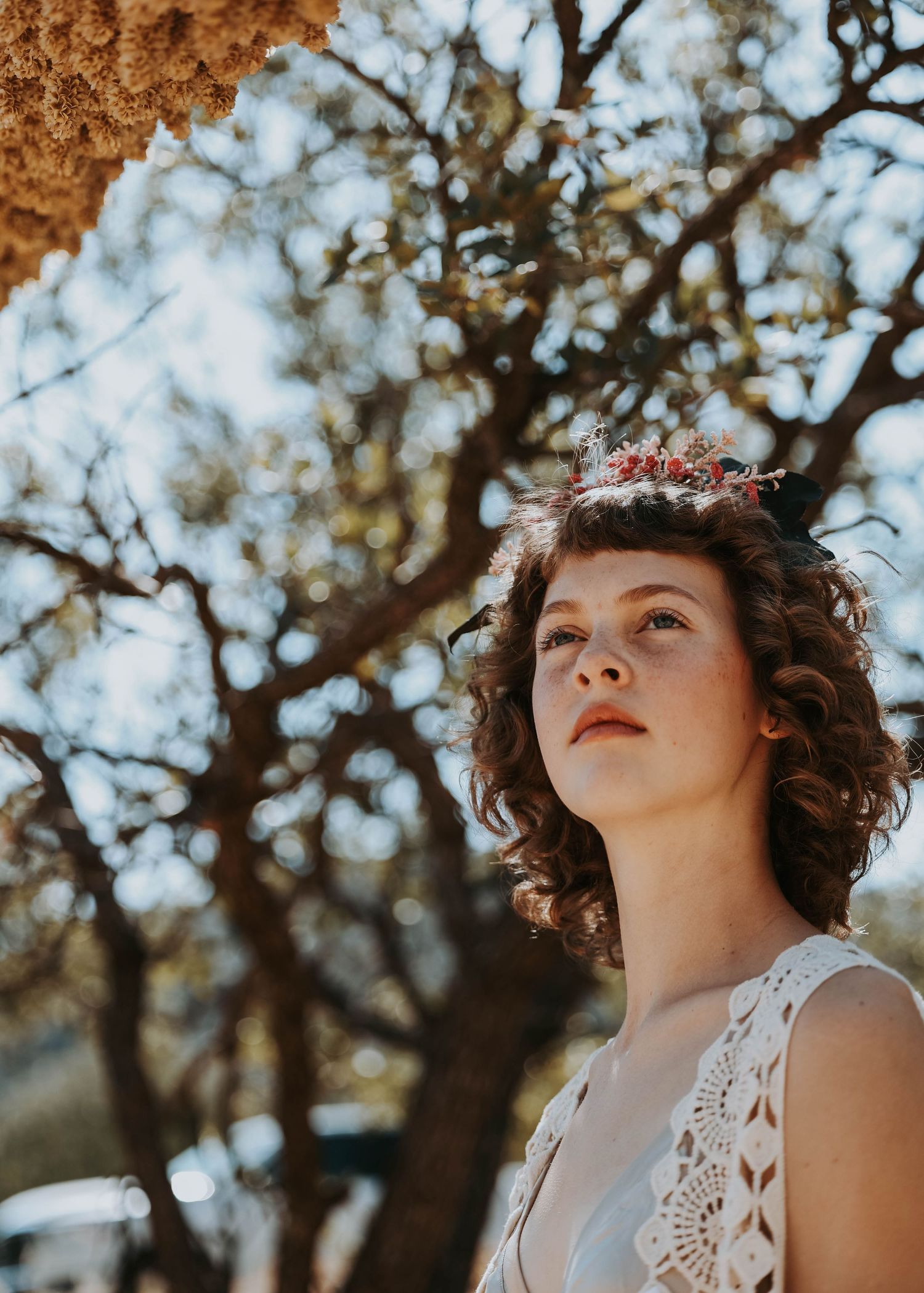 In the Forest With Reclaimed Media Co.