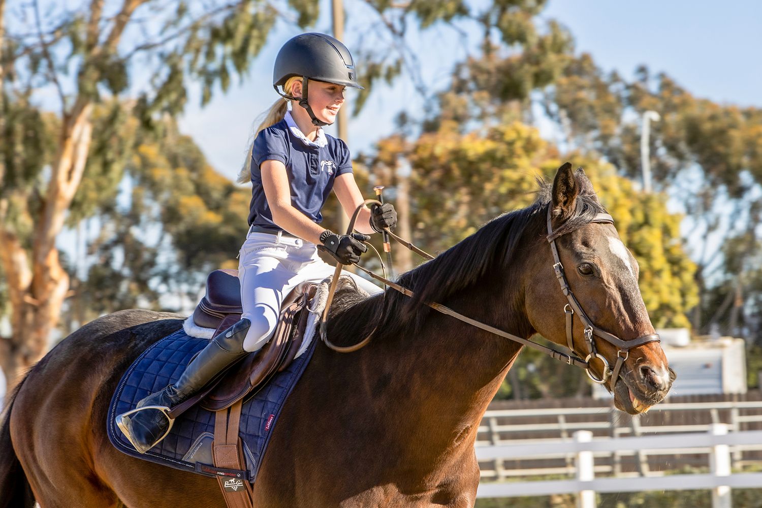 Young girl in helmet rides bay horse at outdoor equestrian arena with eucalyptus trees in background.