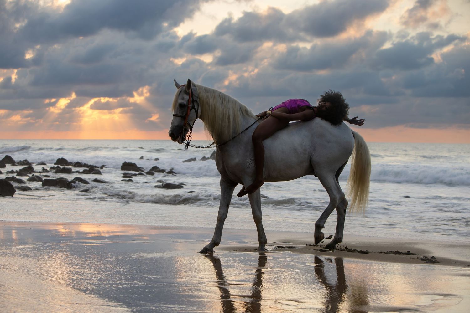 White horse with purple saddle walking on beach shore at dramatic sunset.