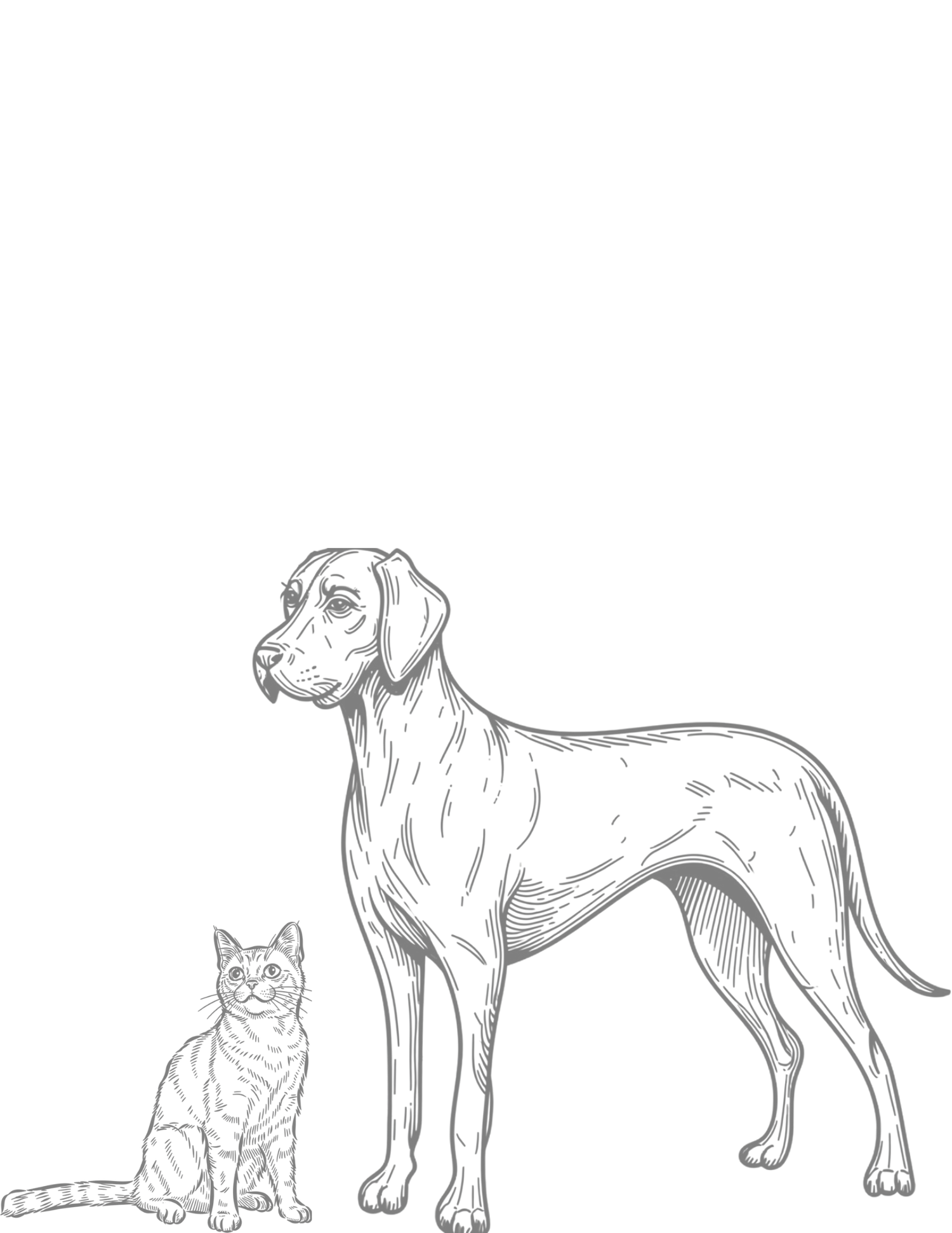 Detailed pencil sketch illustration of a large dog standing beside a small sitting cat on a white background.