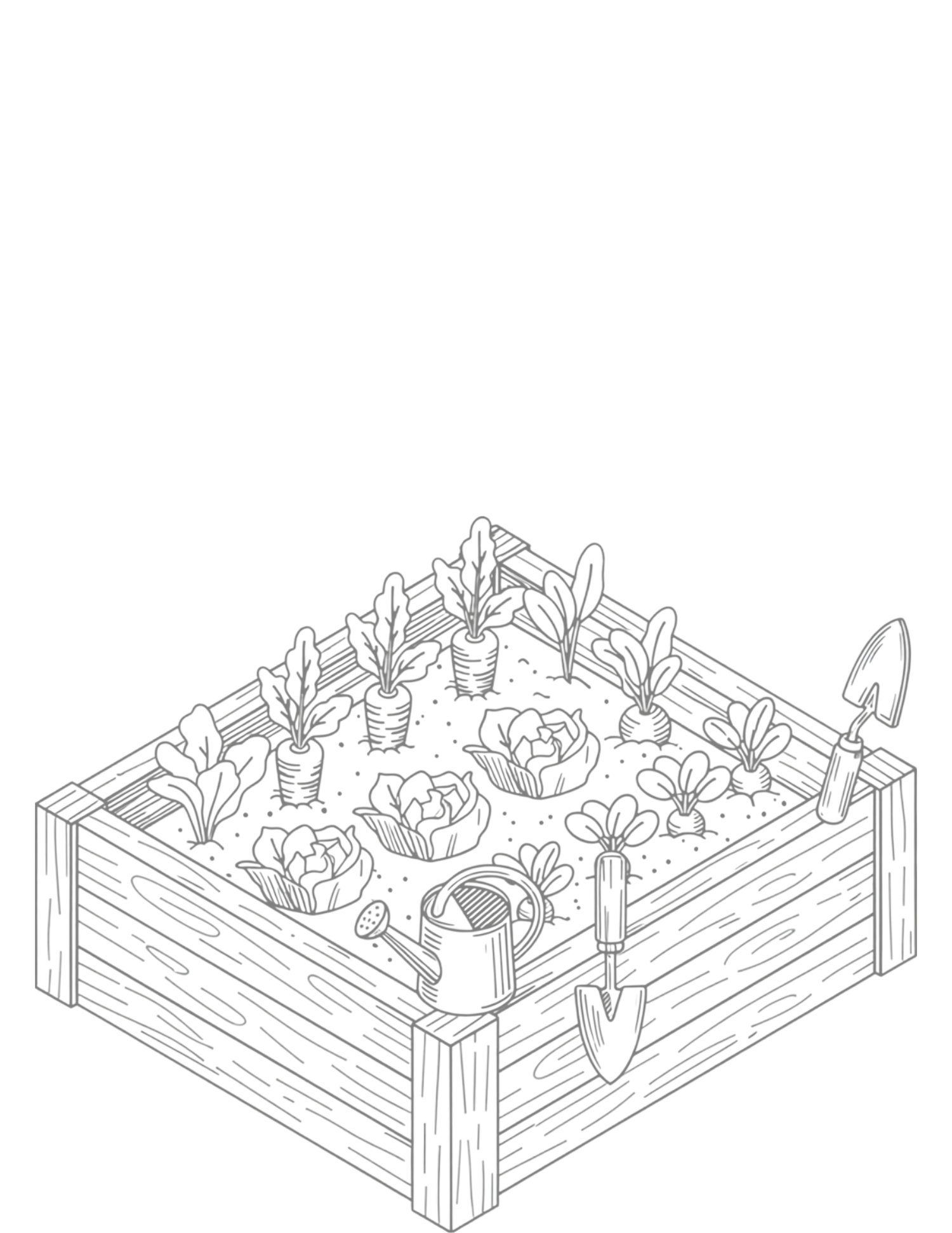 Line drawing of a wooden raised garden bed with vegetables, carrots, lettuce, and gardening tools on white background.