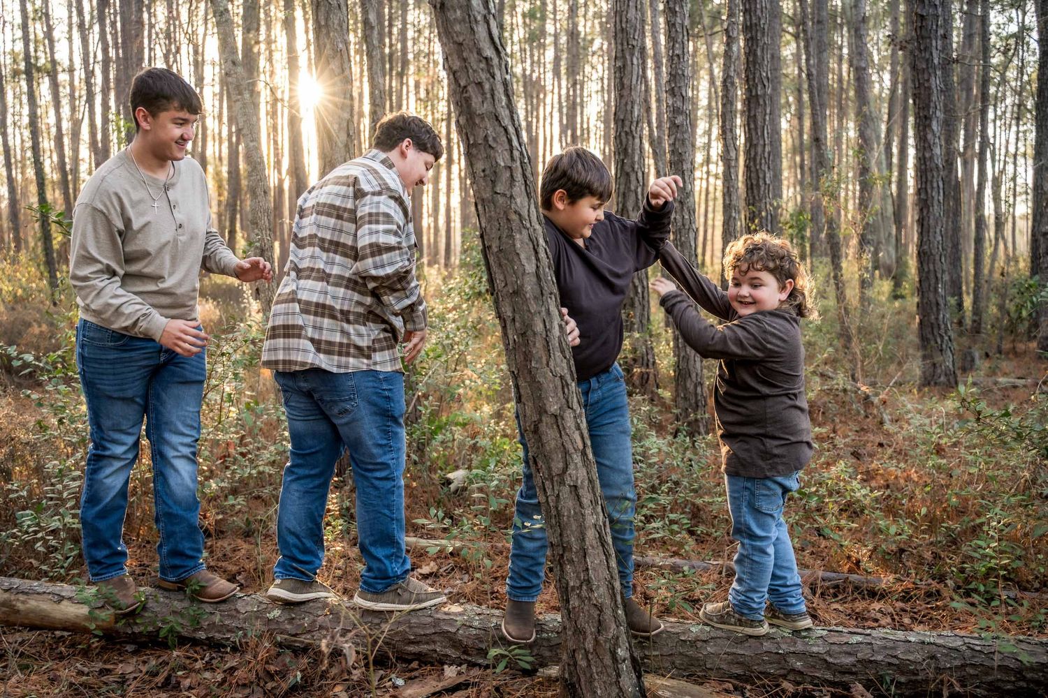 Moncks Corner.Four boys playing on fallen log in a sunlit pine forest during fall.