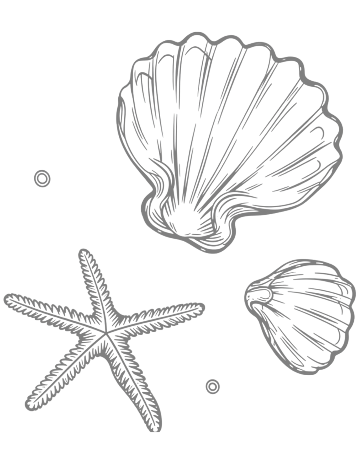 Hand-drawn sketch of a scallop shell, starfish, and small clam shell in gray tones on white background.