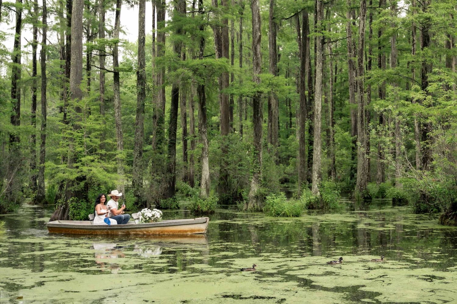 Cypress Gardens. Couple sitting in a wooden rowboat on a serene cypress swamp during engagement session.