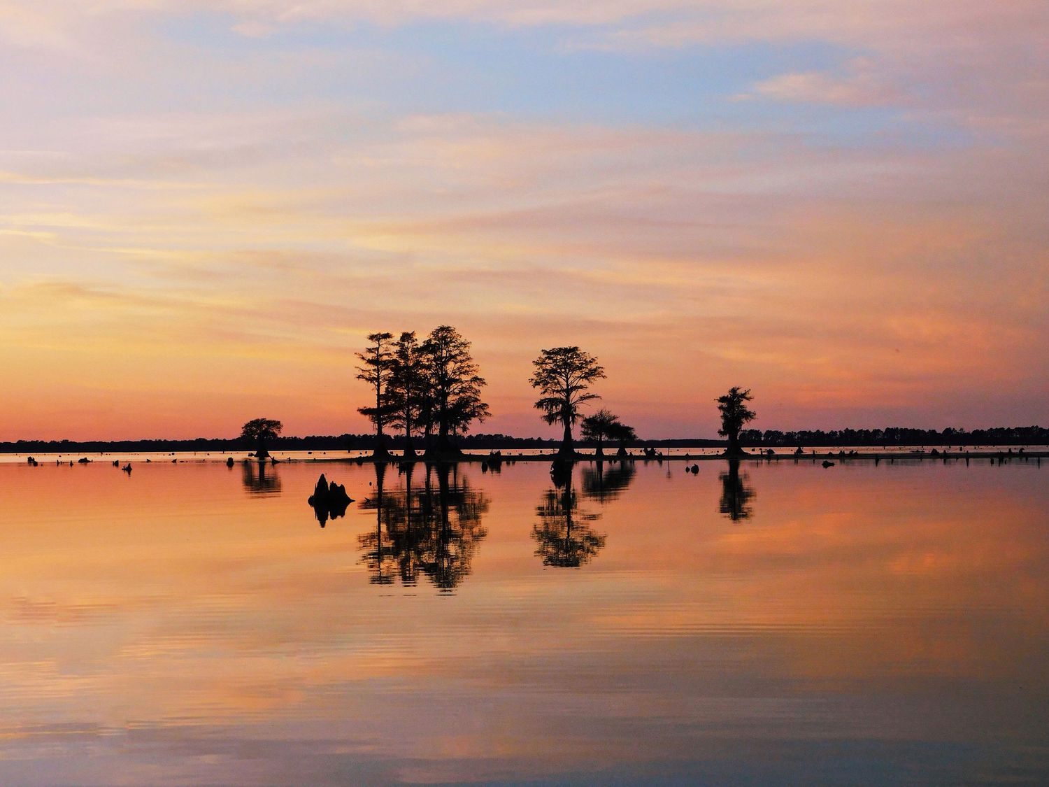 Silhouettes of cypress trees reflect on calm water during a vibrant orange and pink sunset over a tranquil lake.