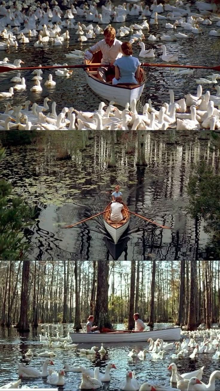A couple rows a white boat through a lake surrounded by hundreds of white ducks in a romantic movie scene.