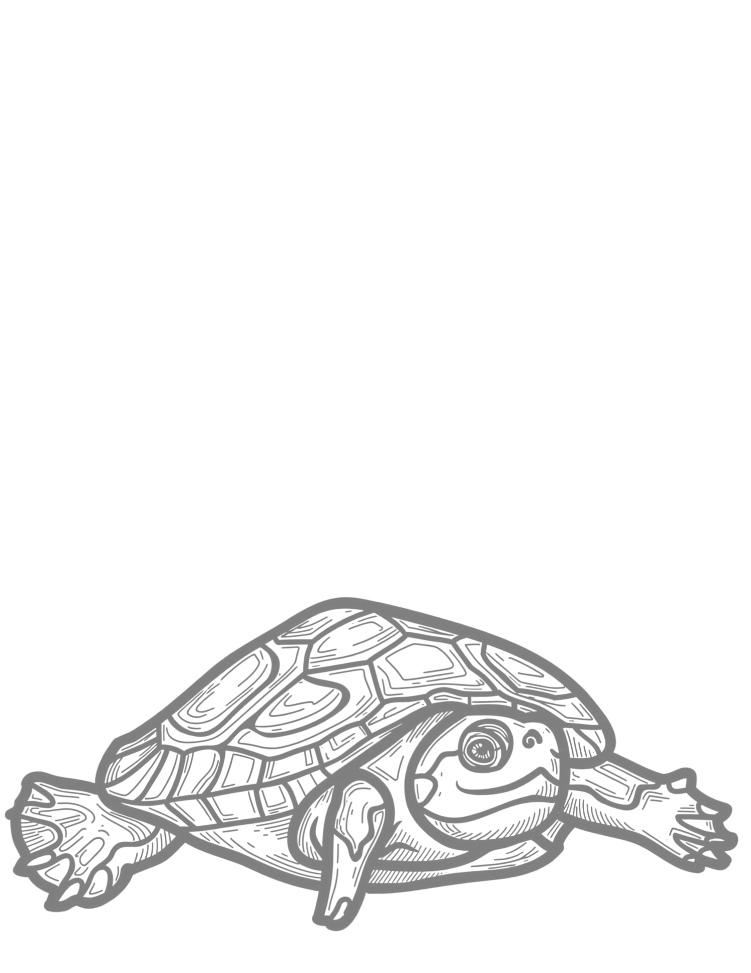 A detailed grayscale illustration of a turtle with a patterned shell, outstretched legs, and an expressive face.