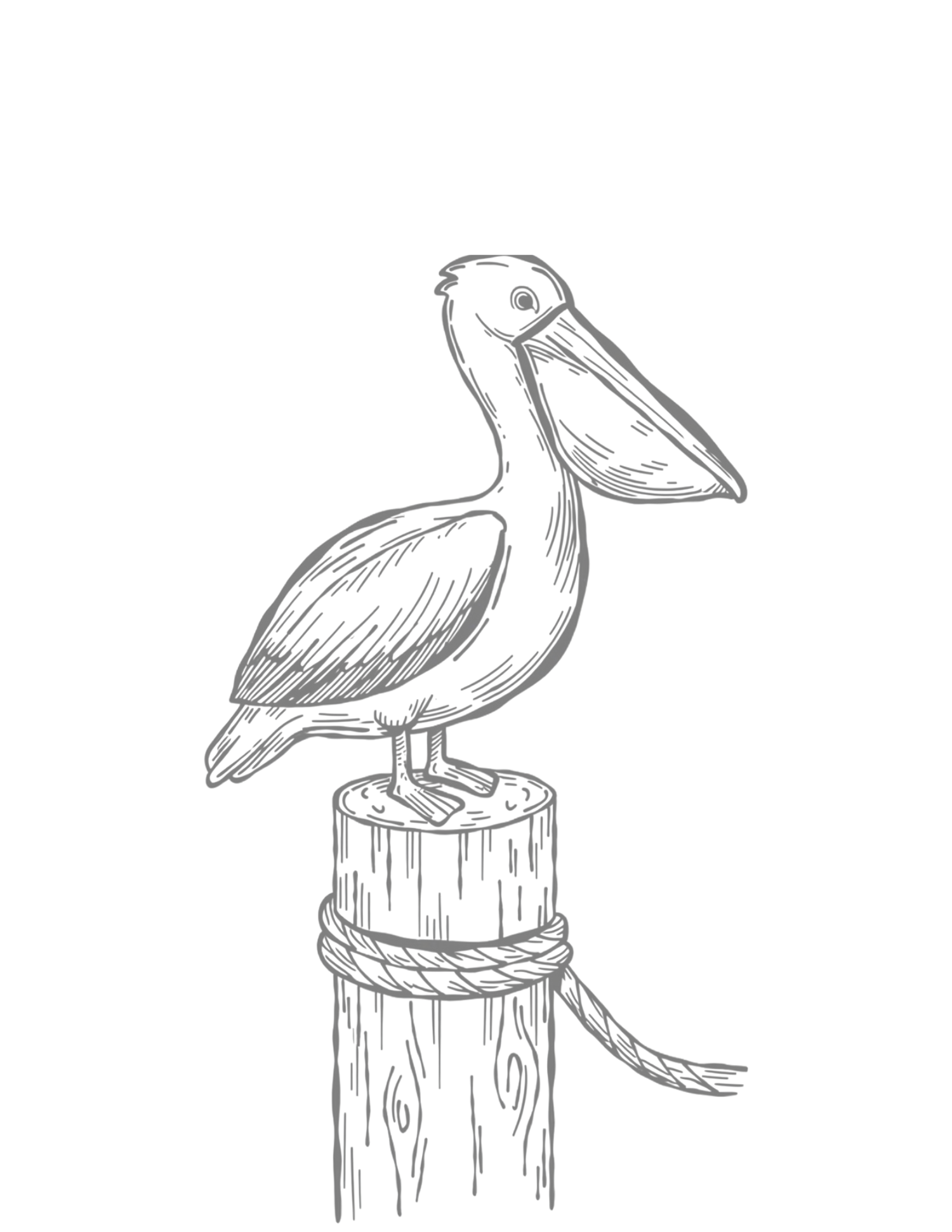 A detailed line drawing of a pelican perched on a wooden post wrapped with rope, in sketch style.