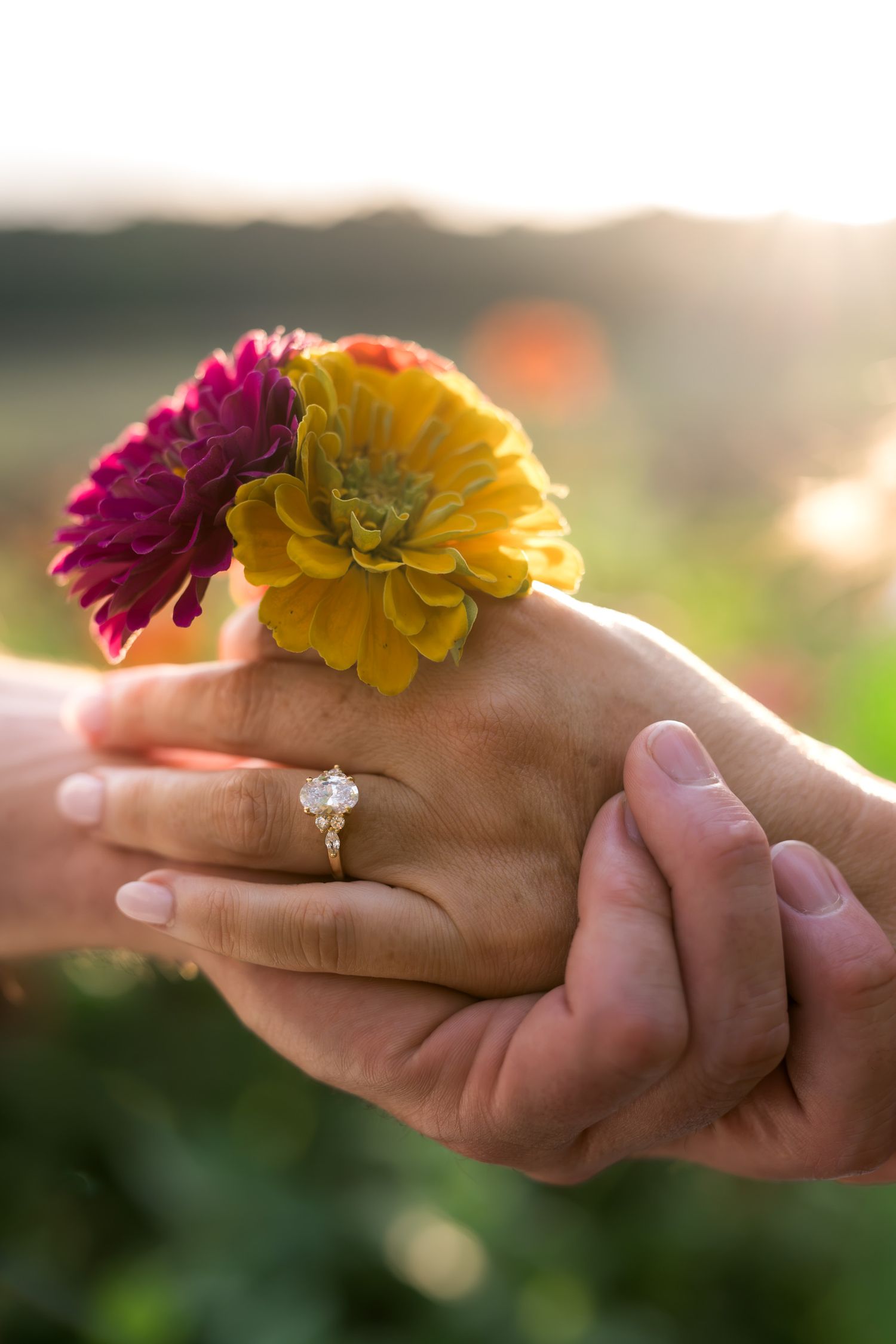 Two hands holding colorful zinnia flowers, one adorned with a diamond engagement ring, bathed in warm golden sunlight.