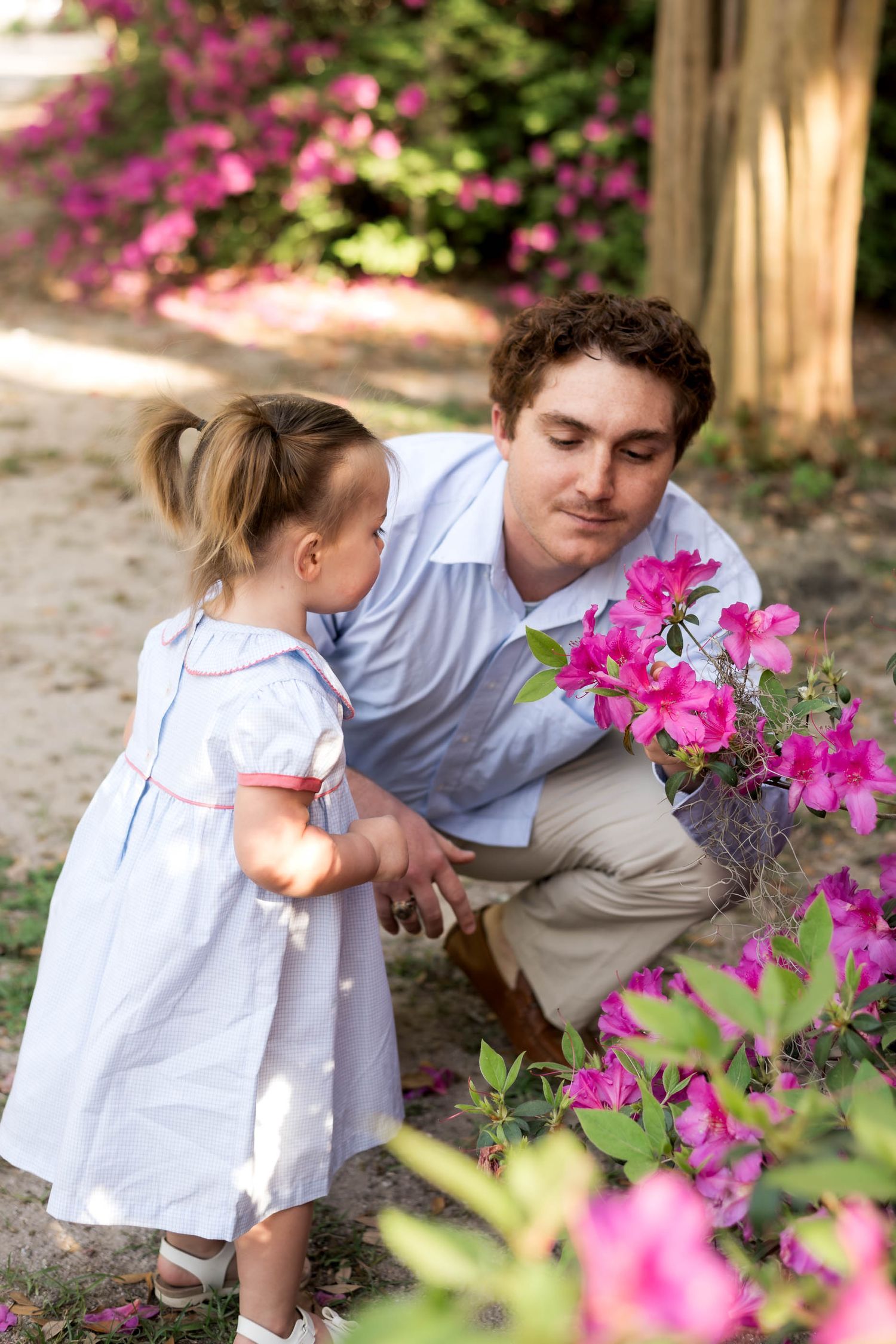 A father and young daughter in white dress examine pink azalea flowers together in a sunny garden.