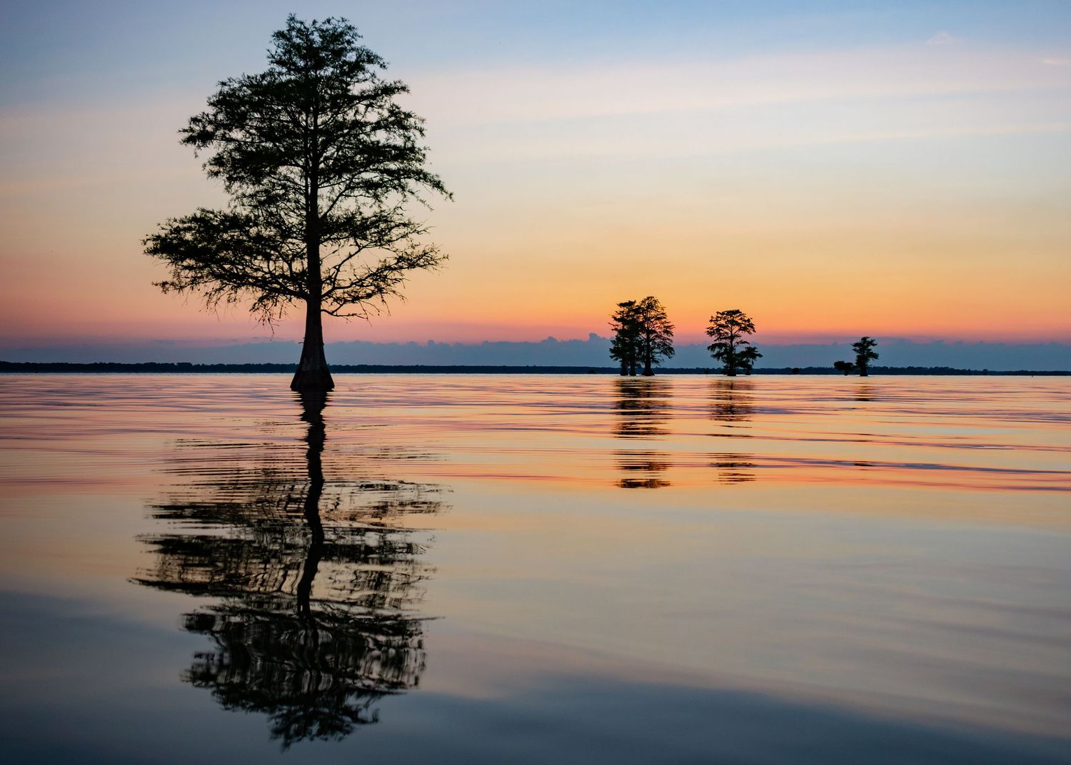 Silhouetted cypress trees reflect in calm water at sunset with vibrant orange and purple sky.
