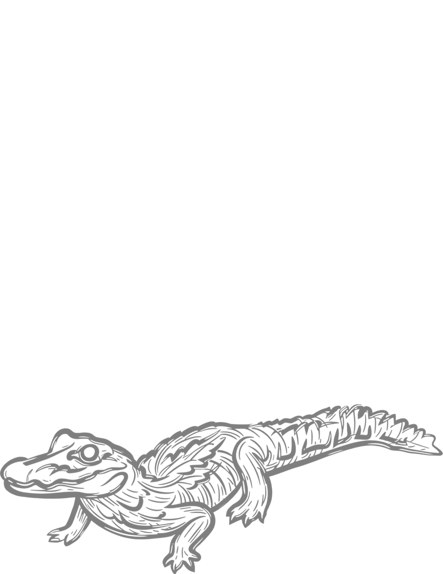 A detailed sketch illustration of a baby alligator or crocodile in a crawling pose, drawn in gray tones.