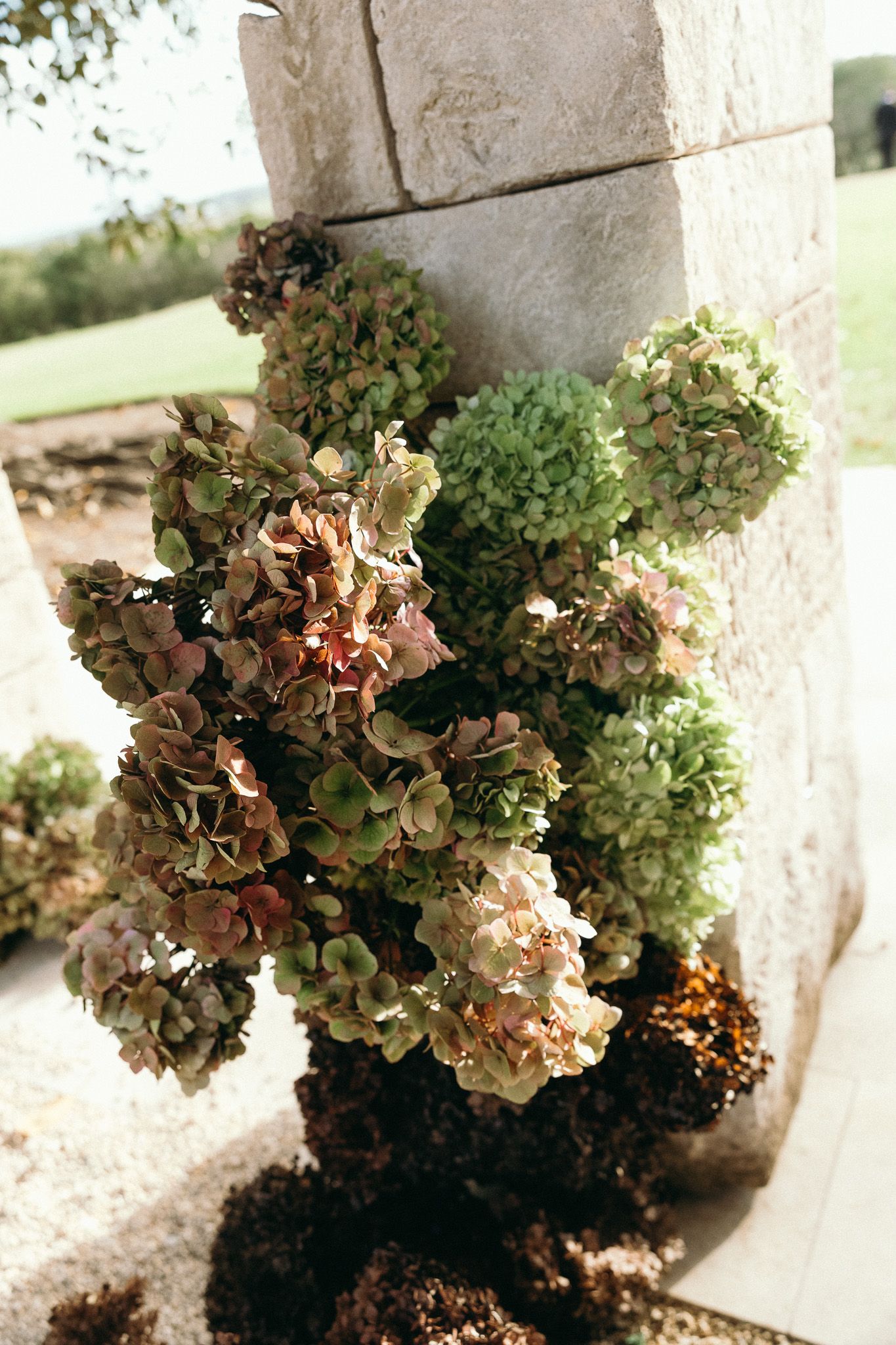 Dried hydrangea flowers in muted green and brown tones arranged against a stone pillar outdoors.