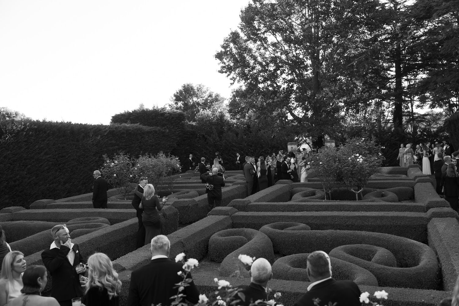 Black and white photo of elegantly dressed guests mingling in a formal garden maze during an outdoor event.