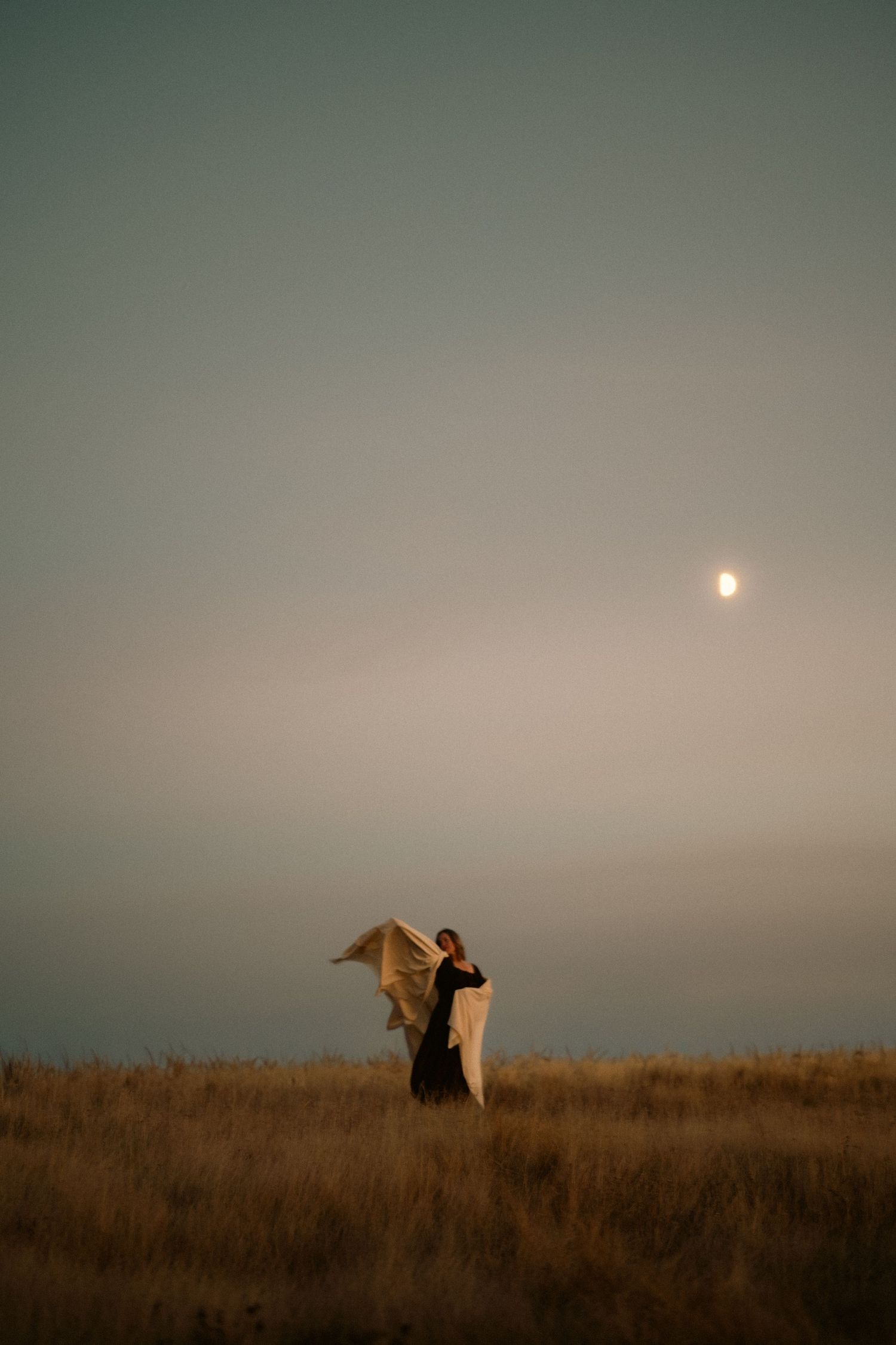 A figure stands silhouetted against a misty sunset sky on a grassy hilltop holding what appears to be a flag or banner.