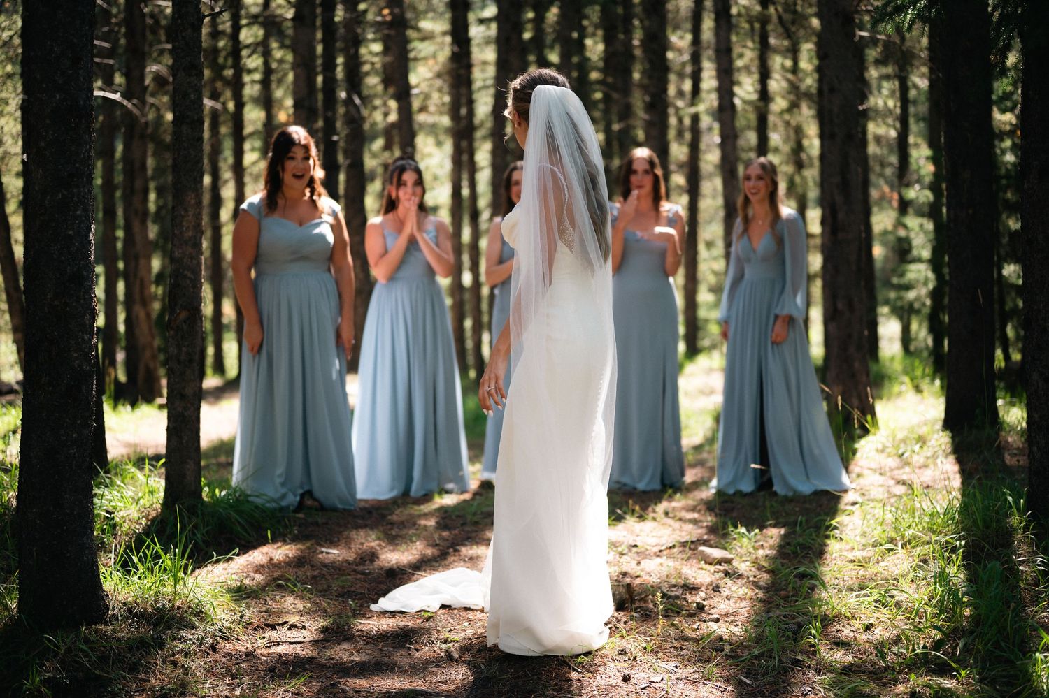 A bride in white dress and veil stands on a forest path with bridesmaids wearing light blue gowns in sunlit woods.