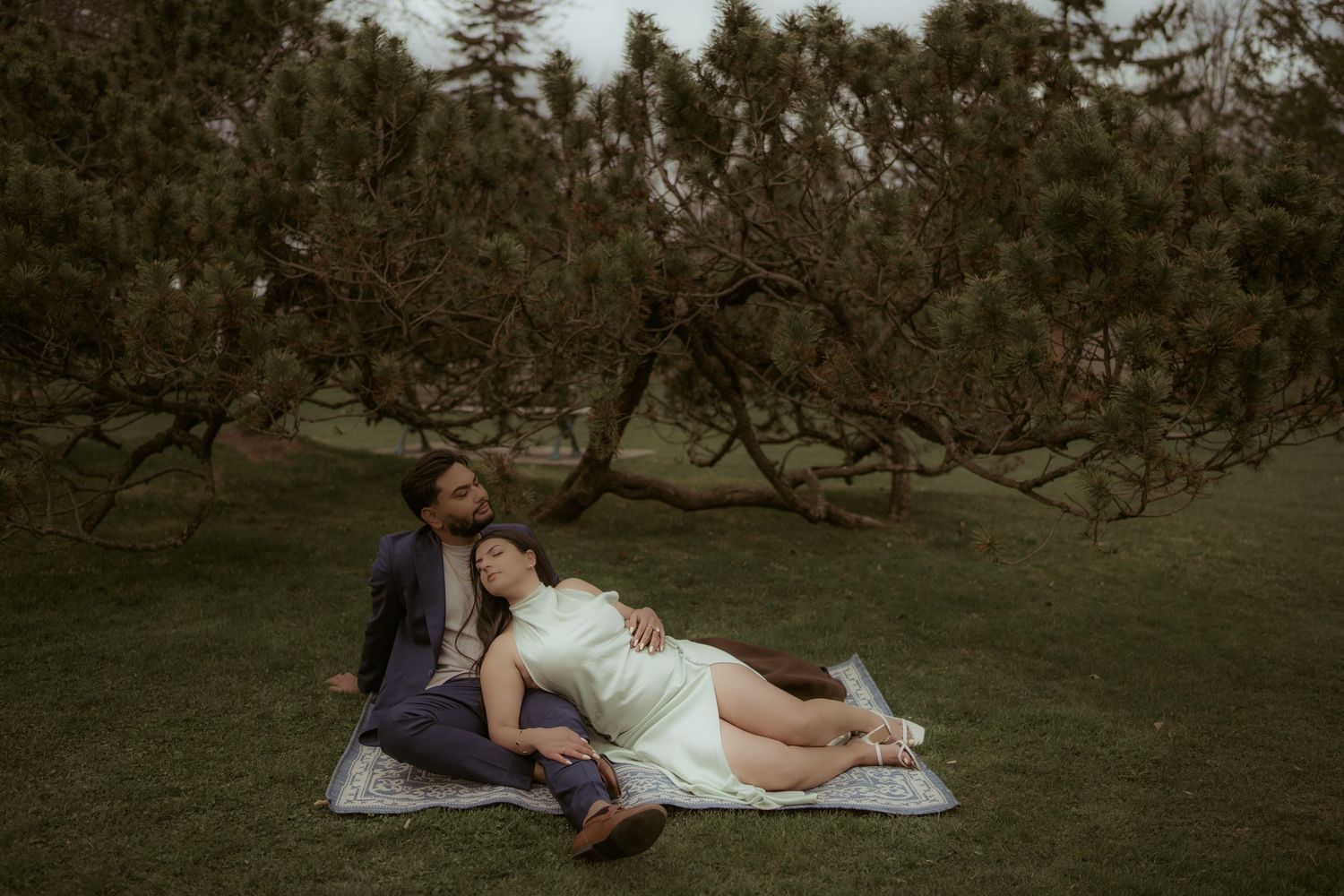 A tranquil picnic scene with a couple lounging on a blanket beneath gnarled tree branches in the late afternoon.