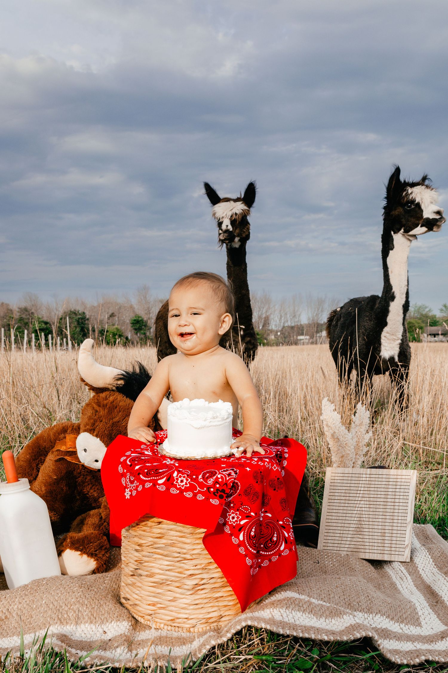 MMG Photography|Manitowoc, Sheboygan & Northeast Wisconsin wedding, senior, family, maternity, newborn lifestyle photographer