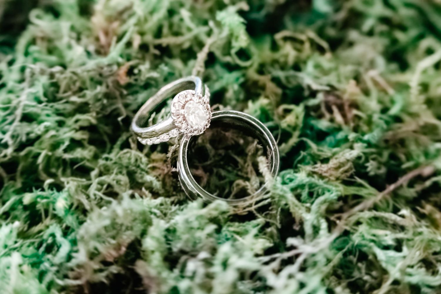 MMG Photography|Manitowoc, Sheboygan & Northeast Wisconsin wedding, senior, family, maternity, newborn lifestyle photographer
