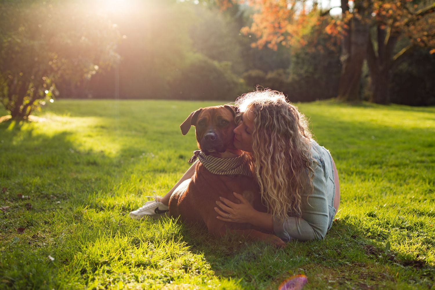 Person cuddling with brown dog on grass during golden hour in park setting.