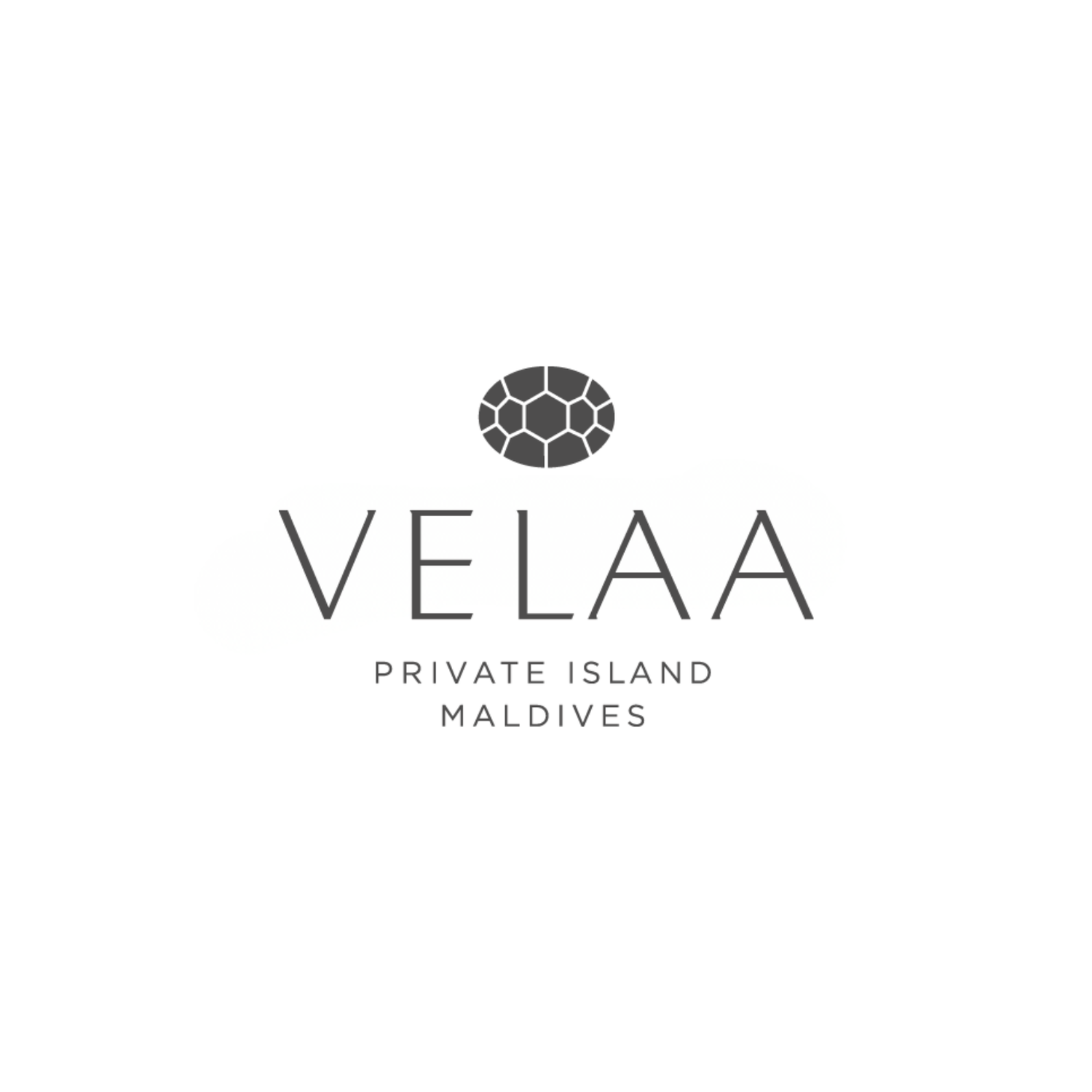 Velaa Private Island Maldives logo featuring a geometric turtle shell emblem above elegant gray typography.