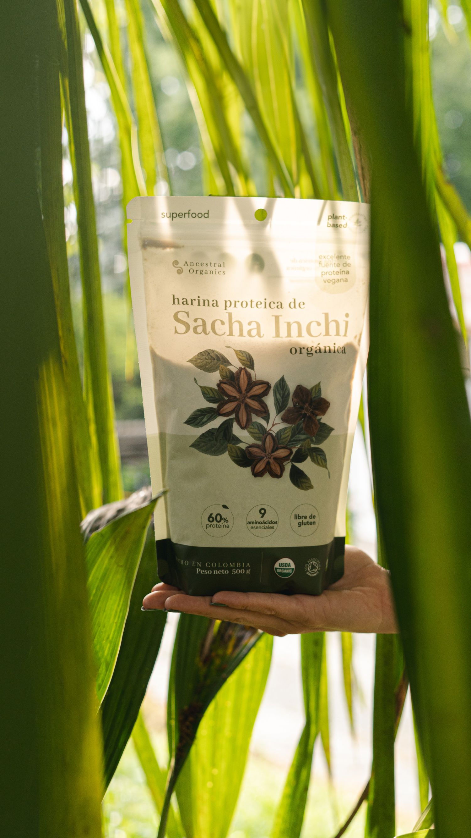 Package of Sacha Inchi protein powder held up against green palm fronds in natural light.