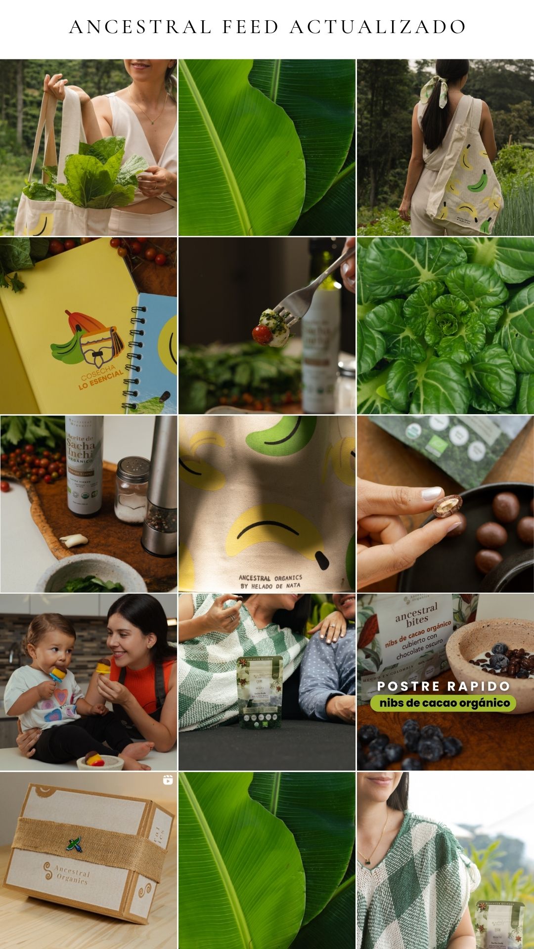 Collage of natural food products, plants, and lifestyle images with Spanish text overlay.