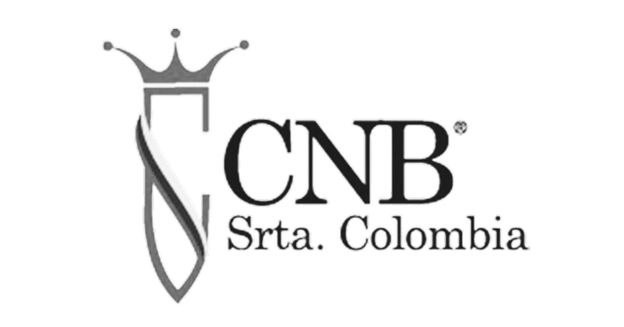 Monochrome logo design for CNB South Columbia with crown emblem.