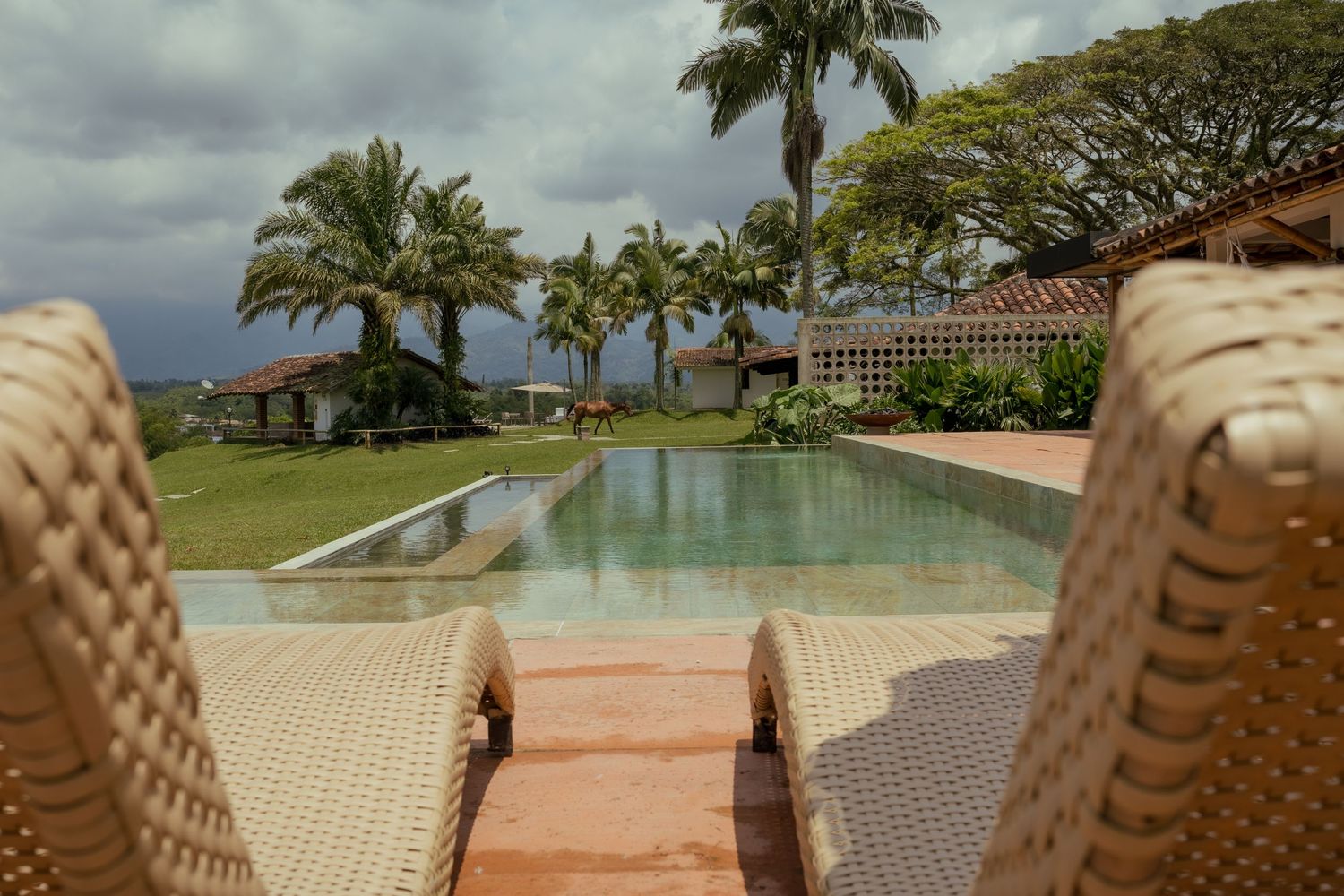 Tropical resort pool view with palm trees and lounge chairs under cloudy skies.