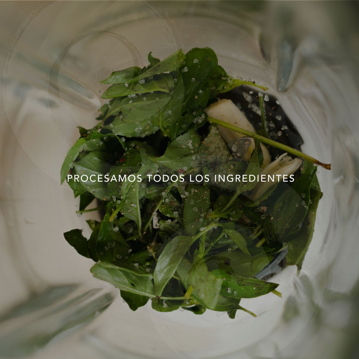 Fresh green herbs being processed in clear glass container.